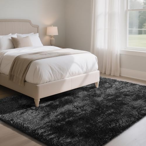 Fluffy Rug Shaggy Area Rug, Black 5x8 Area Rugs for Bedroom, Small Bedside Rug, Soft Fluffy Shaggy Entryway Throw Rugs for Living Room Bedroom Kids Room Home Decor