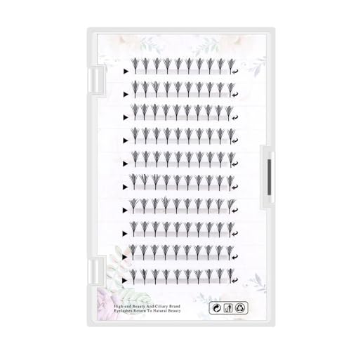 1{bNXi`bVNX^[XpCN܂GNXeV