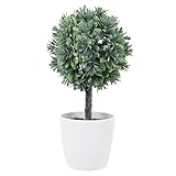 Plantes artificielles d'intérieur – idéales pour la maison, le bureau, le bar et autres lieux de votre choix