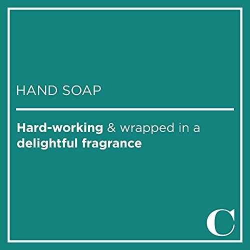 Caldrea Hand Wash Soap, Aloe Vera Gel, Olive Oil And Essential Oils To Cleanse And Condition, Gilded Balsam Birch, 10.8 Fl Oz #TOP5