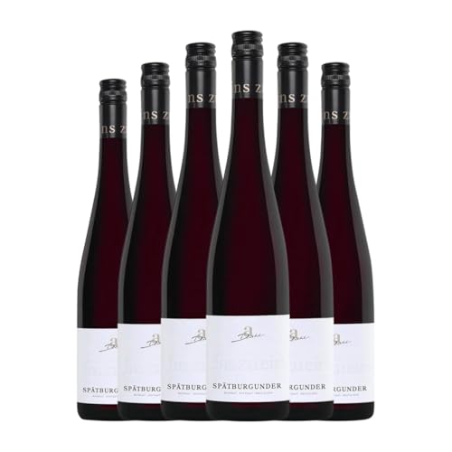 Diehl Pinot Negro Seco Pfalz – Caja de 6 Botellas de Vino Tinto Diehl Pinot Negro Seco Pfalz – Caja de 6 Botellas de Vino Tinto