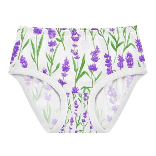 Lavender Flowers Toddler Girls's Underwear 2T 202c1891