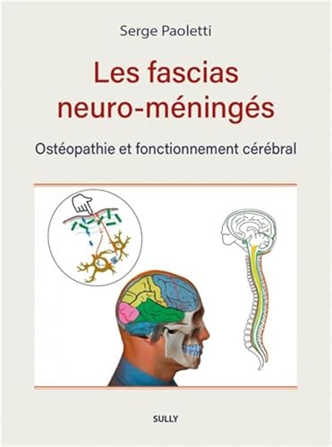 Les fascias neuro-méningés: Ostéopathie et fonctionnement cérébr