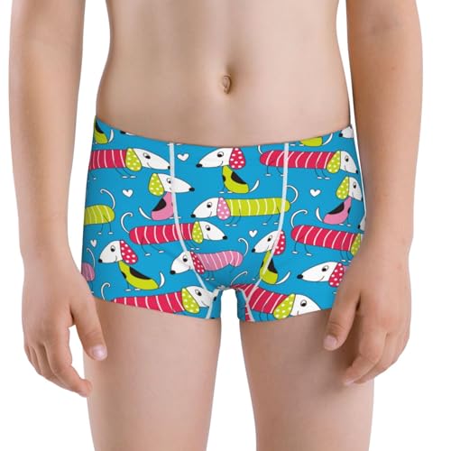 Boys' Cotton Boxer Brief Soft Underwear-Color Dachshund Dog