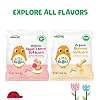 Little Bellies Organic Softcorn Variety Pack, Apple & Berry and Banana (Pack of 18 x 0.28 oz Individual Packs)