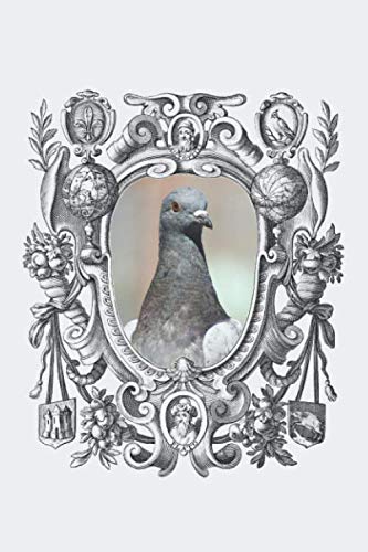 Birds: Pigeon - Graph book and Sketch journal/ Notepad/ Notebook/ Idea Pad