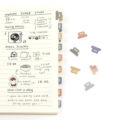 Lumintutu Laminated Planner Monthly Stickers 48 Adhesive Plan Tabs for Notebooks (2 Sets 12 Month Tabs and 24 Blank Tabs) Calendar Monthly Divider Set (Small Morandi)