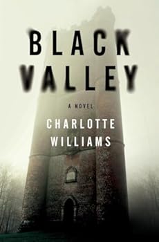Paperback Black Valley Book