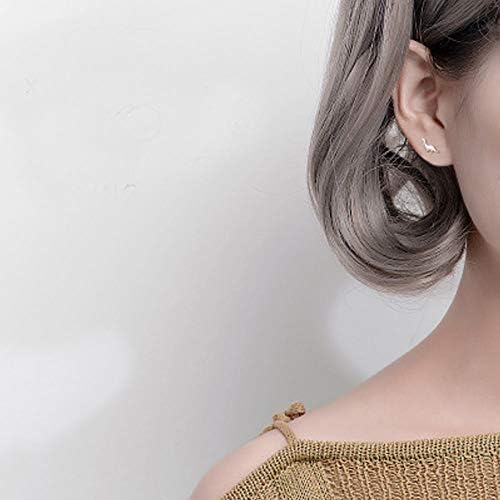 Tiny Dinosaur Stud Earrings S925 Sterling Silver Minimalist Animal Statement Earring Studs Cartilage Piercing Jewelry Gifts for Women Little Girls Sensitive Ears