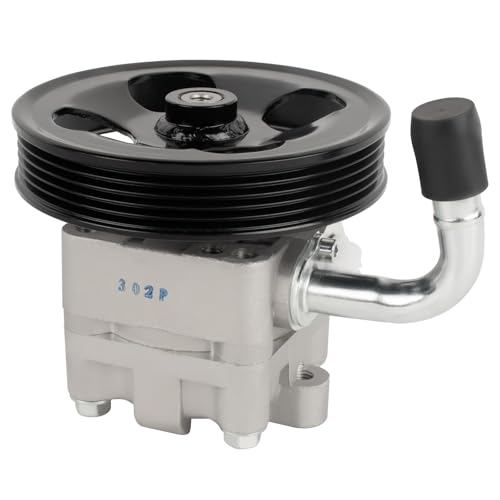 Cilipnsi 49100-65J00 Power Steering Pump Compatible with Suzuki Grand Vitara II JT 2.0 J20A 2005-2010 4910065J00