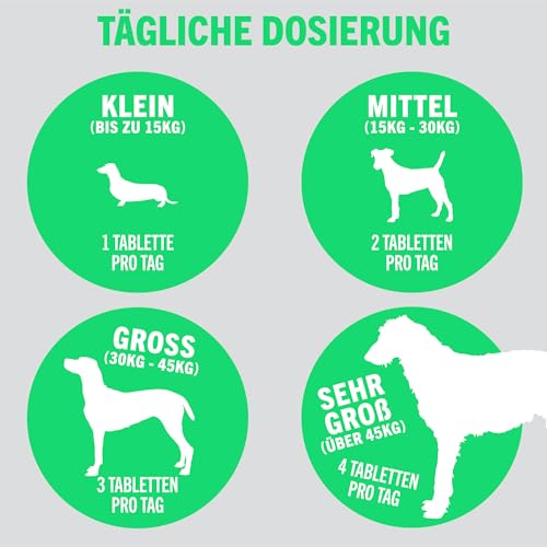JOINTSURE Young + Active Joint Supplements für Hunde - Dreifache Formel mit Grünlippmuschel & Glucosamin zur Hundegelenkpflege (300)