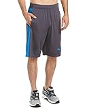 PUMA Men's Tilted Formstripe Short