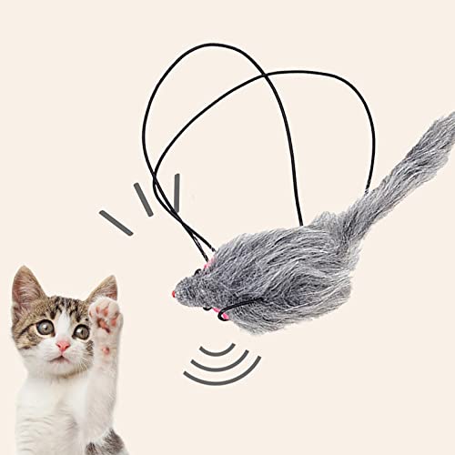 Brinquedos para gatos - Brinquedos para gatos Brinquedos para gatinhos, Brinquedos para gatos com po