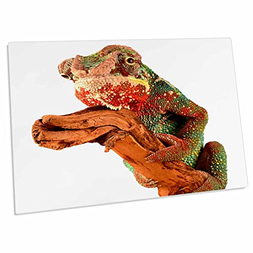 3dRose Pad para escritorio de lagarto reptil miniatura 1