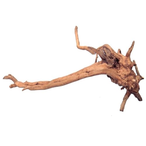 BESPORTBLE 1Pcs Natural Aquarium Driftwood : Spider Wood Branch -