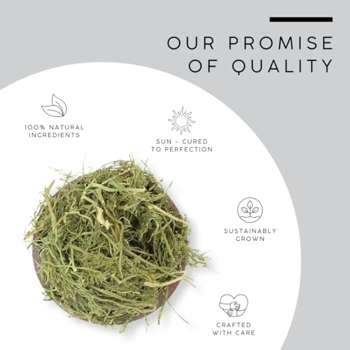 AWAFI MILL Dill Leaves (Dill Weed) – Food-Grade Dried Herb | Anethum graveolens | For Seafood, Salads, Yogurt Sauces & Pickles | Fresh-Green, Anise-Herbal Aroma (500 g | 17.6 Oz)