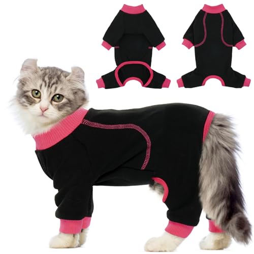 QBLEEV XeBbL[wA L є̔тh Lp qLpW} RX`[ 풅 p[eB[ ʐ^Bep Eіh~ LW[ 񕜃X[c L܂͏^p