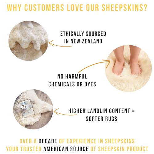 Premium Genuine Fur Sheepskin Rug - Real N.Z. 100% Sheepskin Natural Luxury Fluffy Lambskin Fur Area Rug - Seat Cover for Sofa Chair and Bedroom - 2' W x 3'L - Natural Creamy White Wool