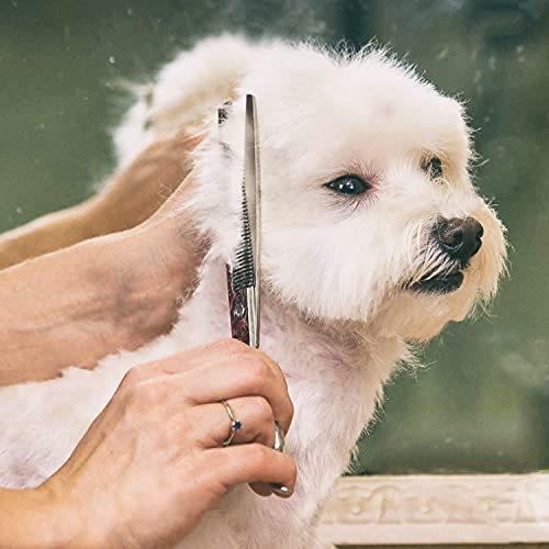 Image of Gimars Professional 4CR Stainless Steel 6 in 1 Grooming Scissors for Dogs with Safety Round Tip, Heavy Duty Titanium Coated Pet Grooming Scissor for Dogs, Cats and Other Animals