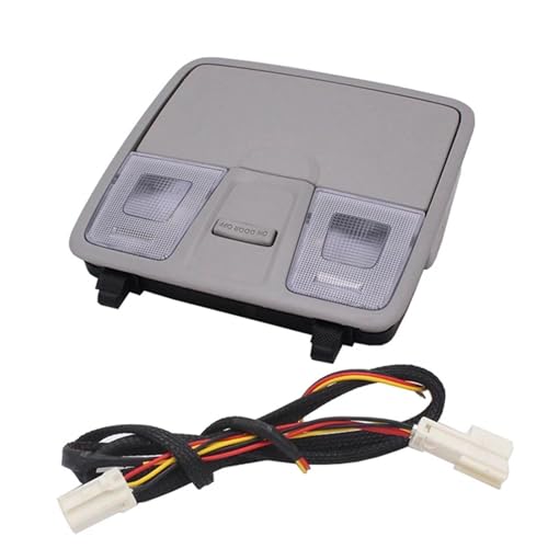 Feijing Car Accessories Car Overhead Light Glasses Box Map Roof Light Compatible For Hyundai Elantra GT I30 IX25 2012-2016 Grey
