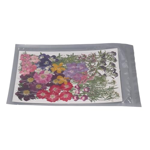 110 flores prensadas secas para manualidades miniatura 6