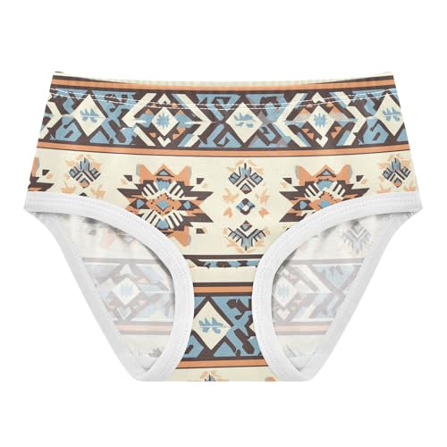 Wusikd Brown Blue Stripe Girls' Underwear Cotton Girls Briefs Soft Toddler Underwear 2T