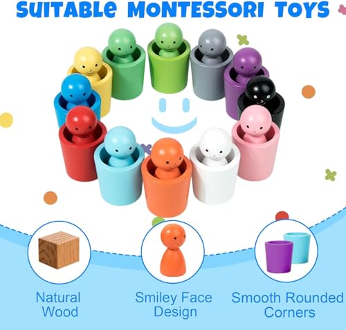 Image of SHINETOY 12PCS Color Sorting Cup with Wooden Bowls | Matching Game for Toddlers 3-6 | Montessori STEM, Math & Sensory Learning Toy