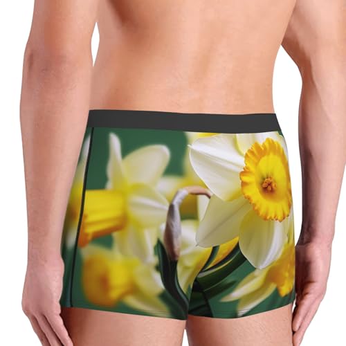 Men's Underwear Boxer Briefs Supersoft Brushed Stretch Boxer Briefs Daffodil Flower Mens Trunks4