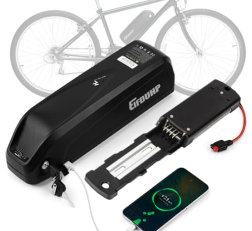 E-Bike Akku 1000 Watt  Die 15 besten Produkte im Vergleich - kita.de  Ratgeber