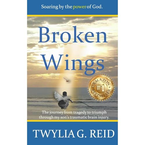 Twylia G. Reid presents Broken Wings episode artwork