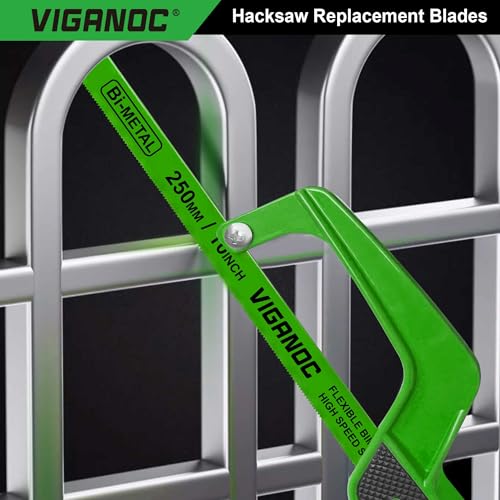 Viganoc 10