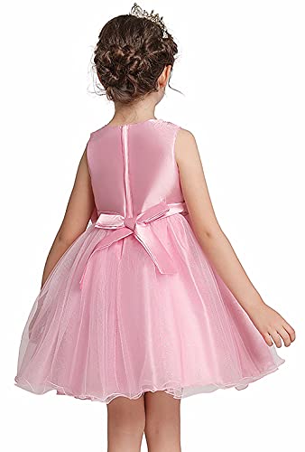 Flower Girls Wedding Party Dress Shiny 3D Lace Tulle Kids Pageant Ball Gown Prom4