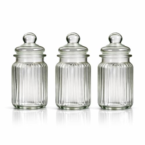 Kit de Potes de Vidro Hermético Transparente 230ml Canelaso Tampa Hermética Conjunto 3 Peças Compartimento Temperos Armazenamento Premium