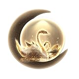DAJIAYIQI