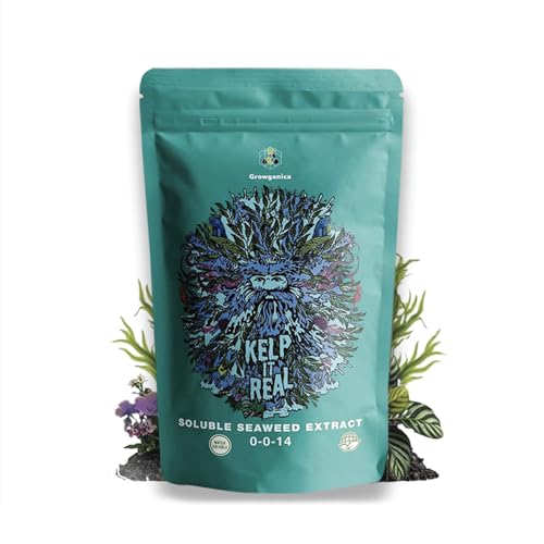 Kelp it Real Organic Seaweed Fertilizer for Plants - Makes 400 gallons - OMRI Listed - Vegan Certified - for Indoor Gardeners, Houseplants, Fruits, Vegetables, Hydroponics (1lb)