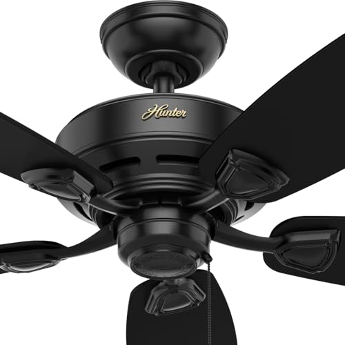 Hunter 48 inch Outdoor or Indoor Ceiling Fan No Light - Black Ceiling Fan without Light, Standard Mount, For Patio, Porch, Garage, or Living Room, 5 Blades, Pull Chain - Sea Wind 53351, Matte Black - Image 9