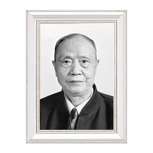 額縁 a3 額縁 遺影 額縁 肖像額 高級 耐水 レッド クラシック耐水 卓上・吊り下げ両対応 長方形 MX-101504