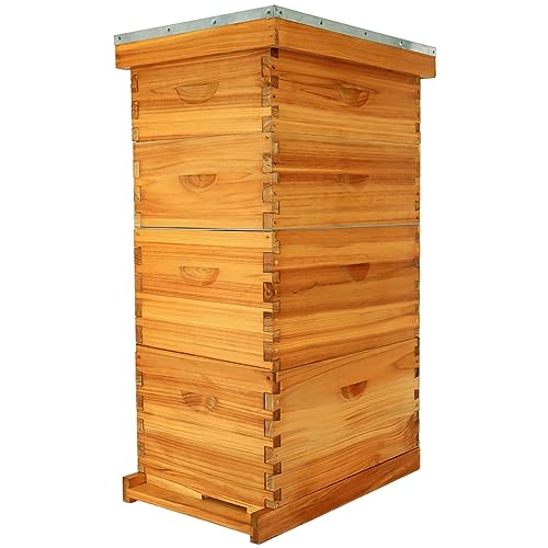 ThxBees 8-Frame Bee Hive Complete Beehive Kit Beeswax Coated Beehive Include Frames and Foundation Sheets for All Beekeeping Levels (2 Deep & 2 Medium Bee Boxes)