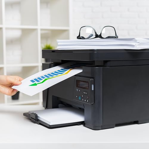 RAYLU PAPER - A4 80g 250 Blatt Premium Mehrzweckpapier für Laserdrucker, Inkjet und Kopierer, für Büro und Zuhause (250 Blatt)