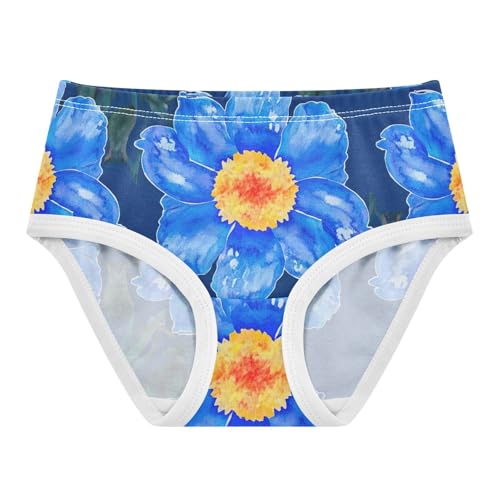 Girls Underwear Toddlers 2t Cotton Girl Panties Cute Pattern Briefs Girls Undies Blue Watercolor Flowers