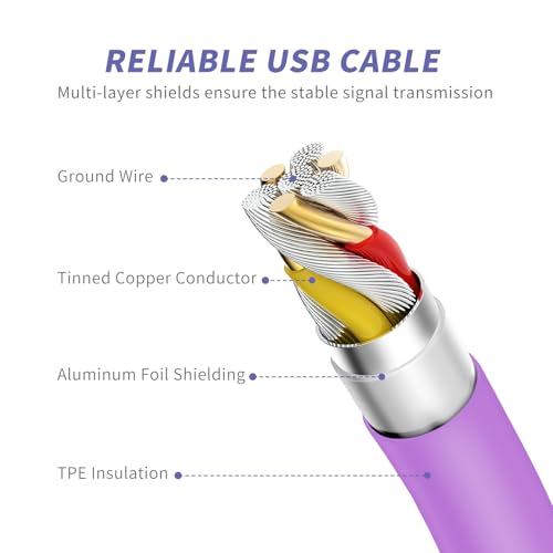 Image of iPhone Charger Fast Charging,[MFi Certified] 2Pack 20W Type C Fast Charger Block with [10FT&6FT] USB C to Lightning Cable Compatible for iPhone 14 /13 /12 /11 Pro Max /Xs Max /XR /X,iPad