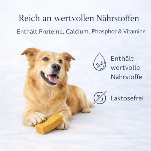 Alp Chews Hartkäse für Hunde – Extra Kleine 3 Stück – Natürlicher Kauknochen – Kaukäse zur Zahnpflege & Langen Kaudauer