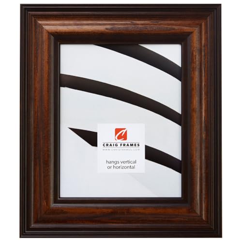 Craig Frames 23x30 Walnut Brown Poster Frame for Posters and Gallery Wall
