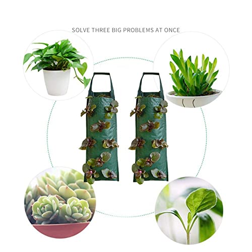 Qaqe Hanging Planter Bag,Strawberry Grow Bags,Hanging Grow Bag,Garden Hanging Tomato Strawberry Planting Grow Bag,Garden Grow Bags Containers For Vegetables Flowers, Green, 4 Ports #TOP1