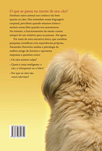 A cabeça do cachorro