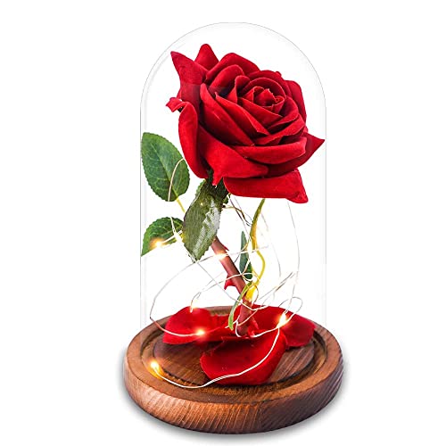 Beauty and The Beast Rose ,Red Silk Rose with Fallen Petals in Glass Dome on Wooden Base,Graduation Gift,Birthday Gifts，Valentine's Day ,Anniversary ,Christmas