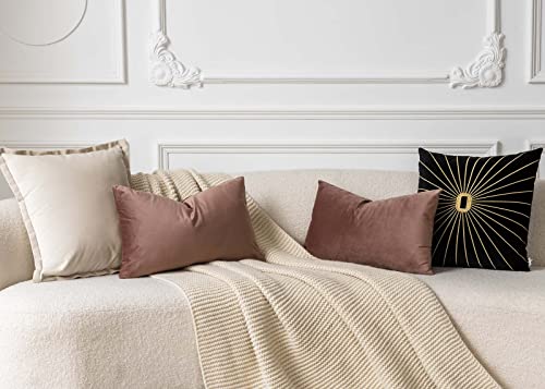 Image of JUSPURBET 12x20 Decorative Velvet Lumbar Throw Pillow Covers Set of 2,Jam | Modern Soft Cushion Covers with Hidden Zipper for Couch Sofa Bed Living Room Bedroom Home Decor