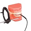Practicon 701742 Sensorguard, Shape, 3, Black, Pack of 12