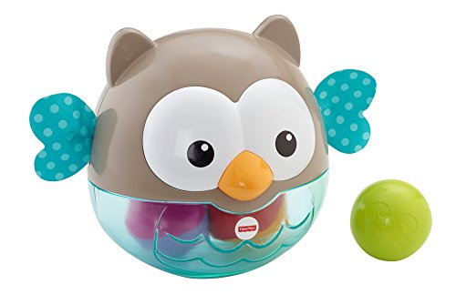 Preisvergleich Produktbild Fisher Price CDN46-2-in-1 Activity Spielkugel