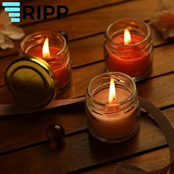 Ripp Mini Glass Jar Scented Candles for Home Decor, Wax Candles, Jar Candle, Wax Scented Mini Jar Candles, Glass Candles (Pack of 6, Multi)